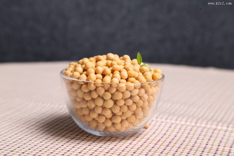 黄豆摄影图片