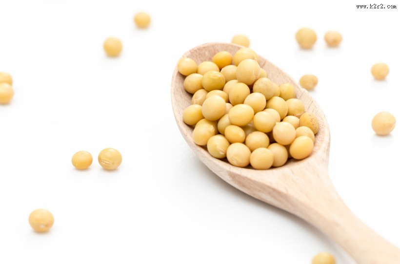 黄豆摄影图片