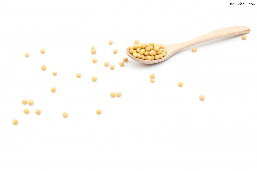 黄豆摄影图片