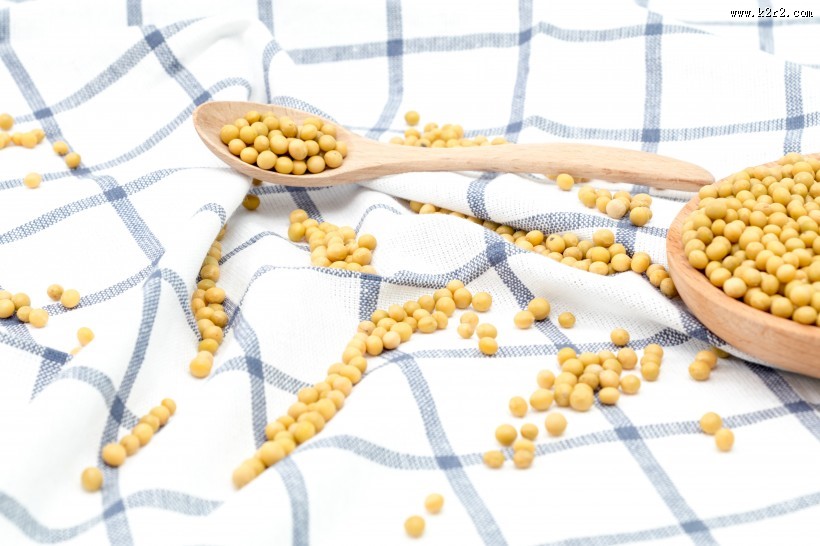黄豆摄影图片