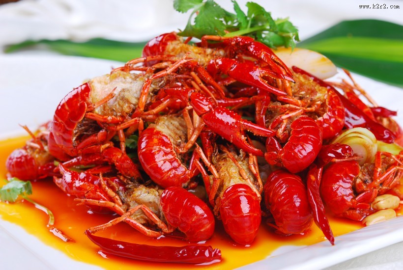 美味的龙虾图片大全