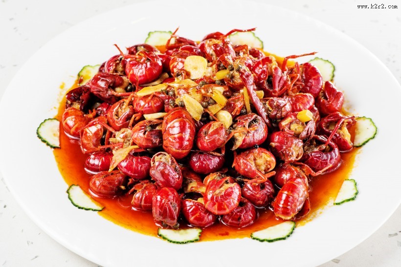 美味的龙虾图片大全