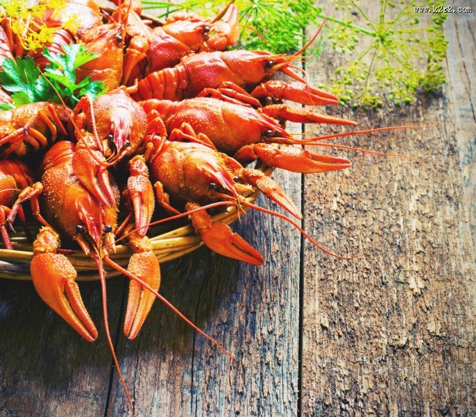 美味的龙虾图片大全