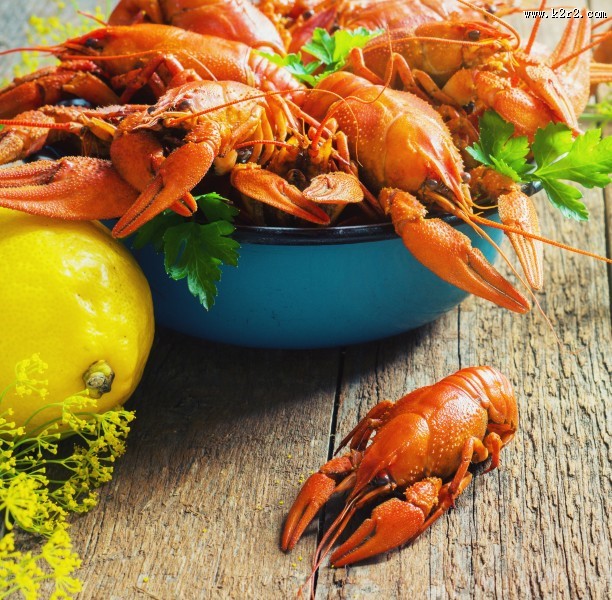 美味的龙虾图片大全