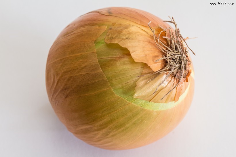 洋葱高清图片