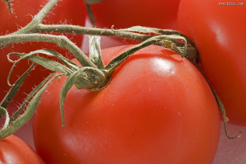 酸酸甜甜的西红柿摄影图片