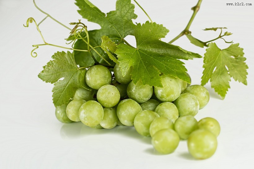 新鲜的绿葡萄图片