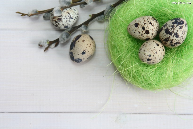鹌鹑蛋图片