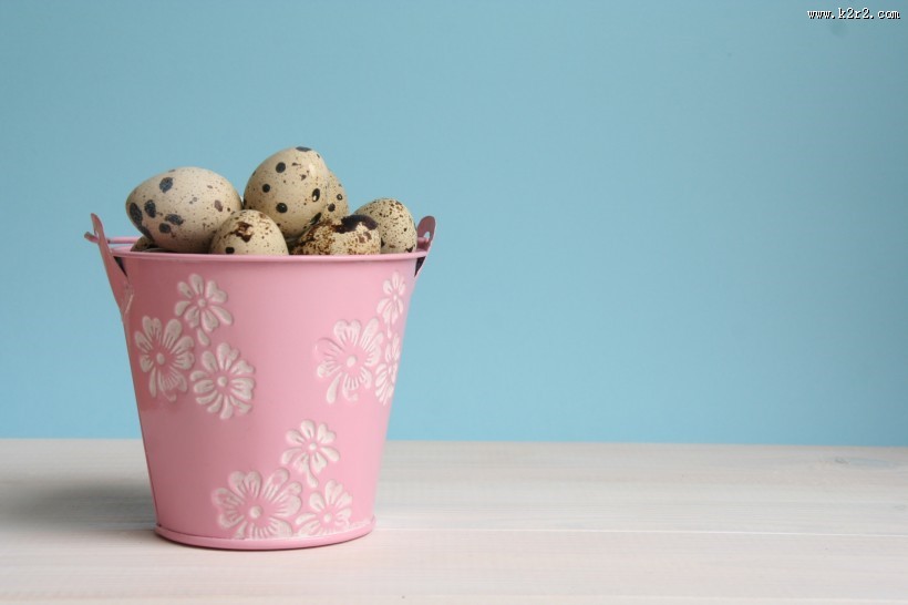 鹌鹑蛋图片