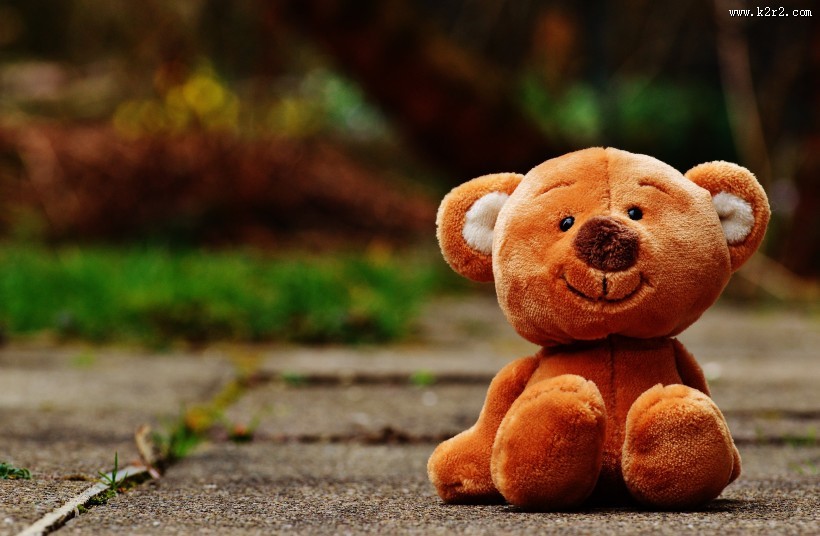 毛绒绒的玩具熊图片