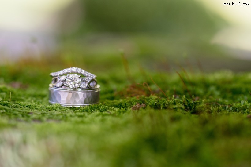 唯美的婚戒图片