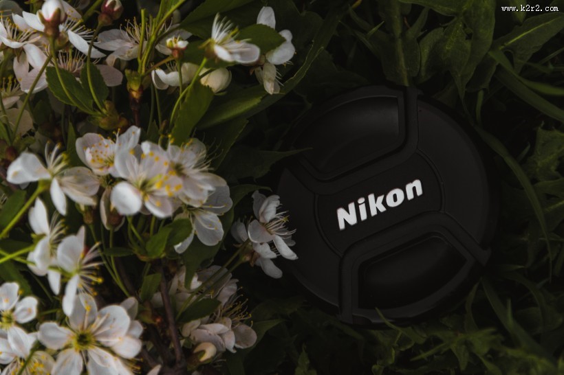 尼康的单反相机图片大全