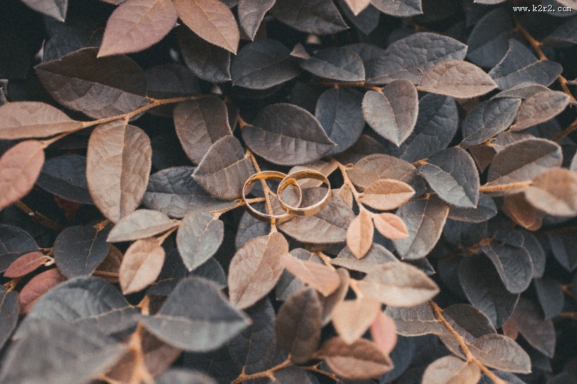 精致的戒指图片大全