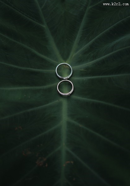 精致的戒指图片大全