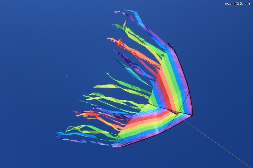 天上的风筝图片