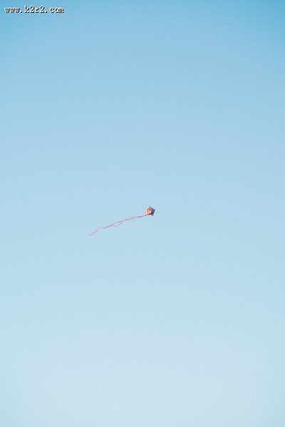 天上的风筝图片