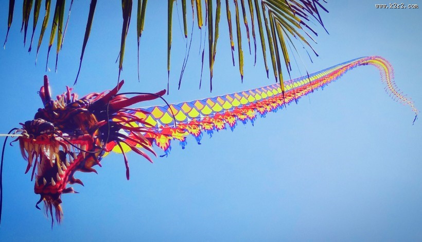 天上的风筝图片