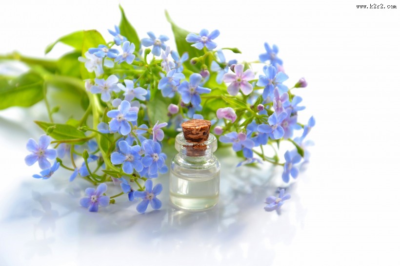 装在瓶子里的液体香薰图片大全