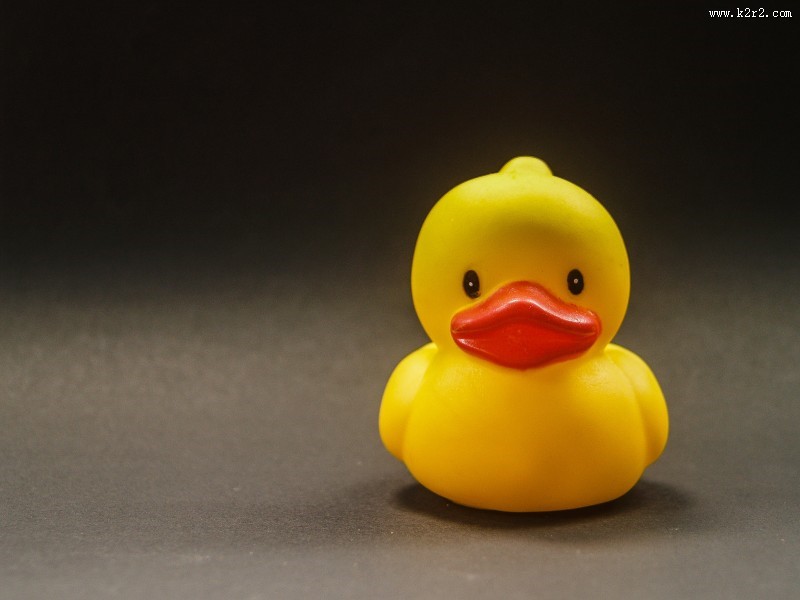 儿童浴室玩具图片大全