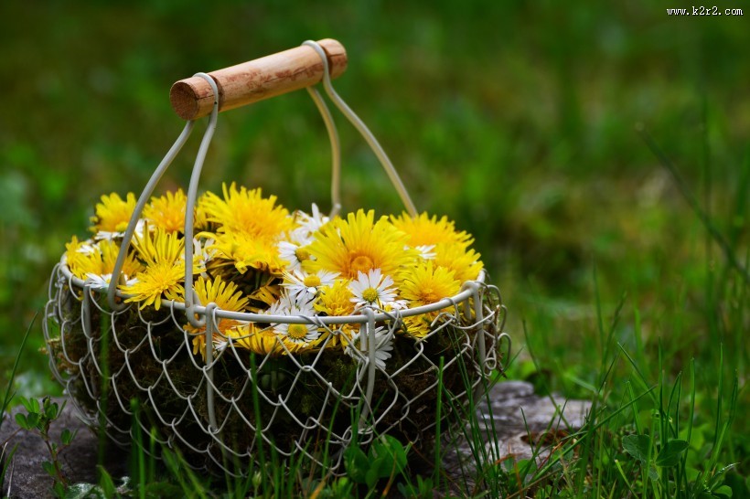 装有鲜花的花篮图片