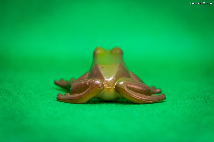 迷你青蛙玩具图片
