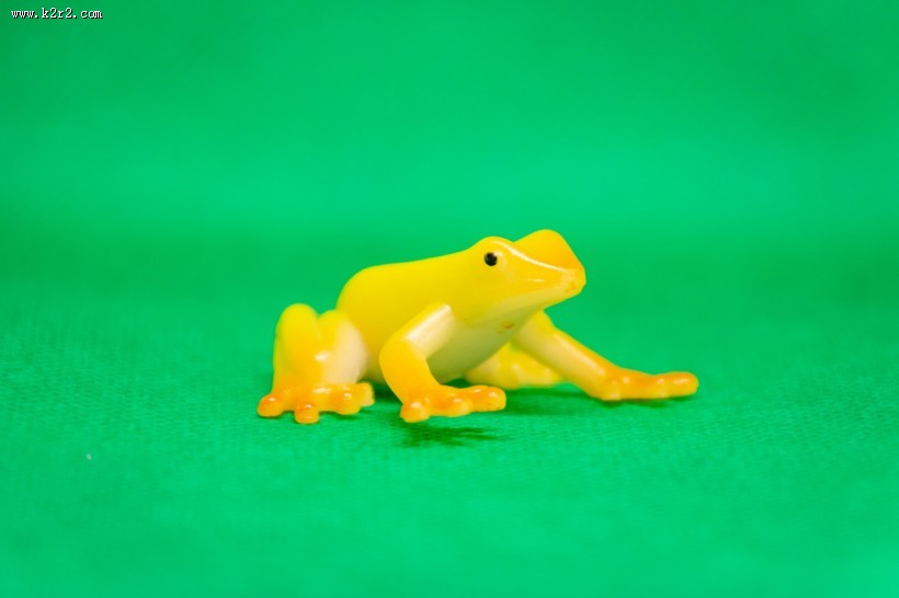 迷你青蛙玩具图片
