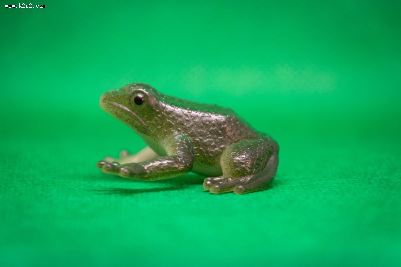 迷你青蛙玩具图片