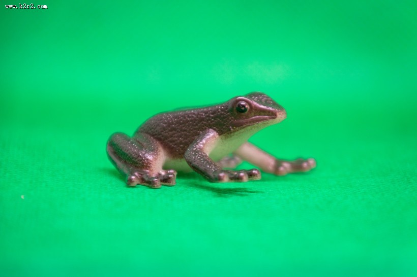 迷你青蛙玩具图片