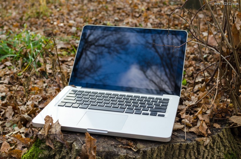 落叶上的笔记本电脑图片