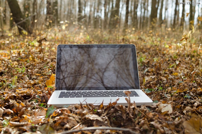 落叶上的笔记本电脑图片