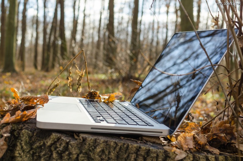 落叶上的笔记本电脑图片