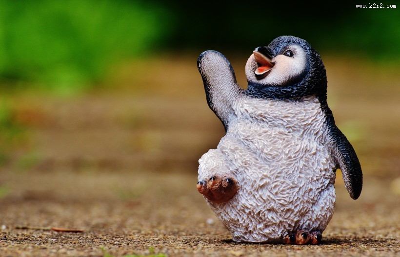 小小的企鹅玩具图片