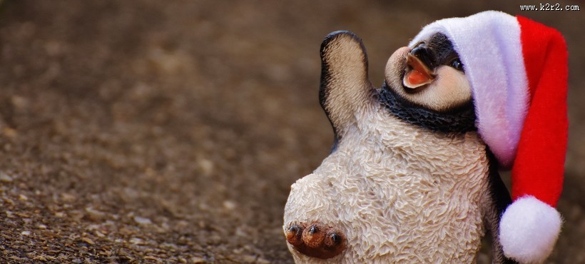 小小的企鹅玩具图片