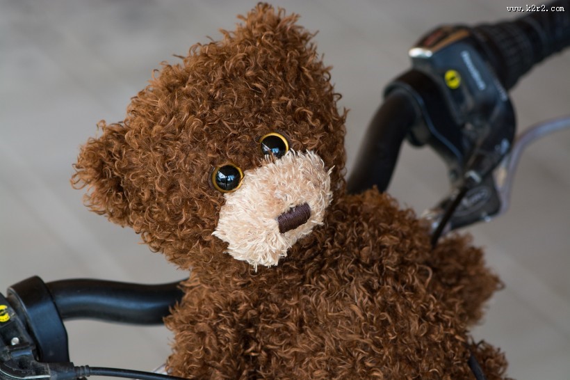 可爱的玩具熊图片大全