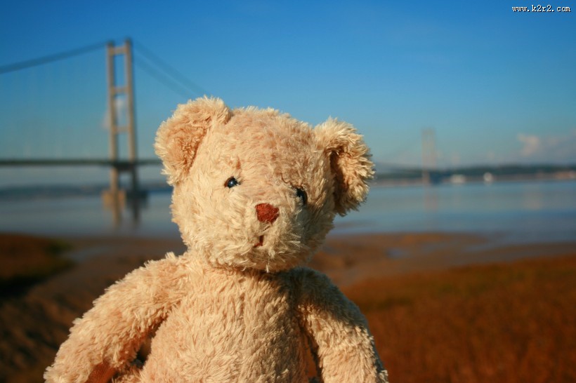 可爱的玩具熊图片大全