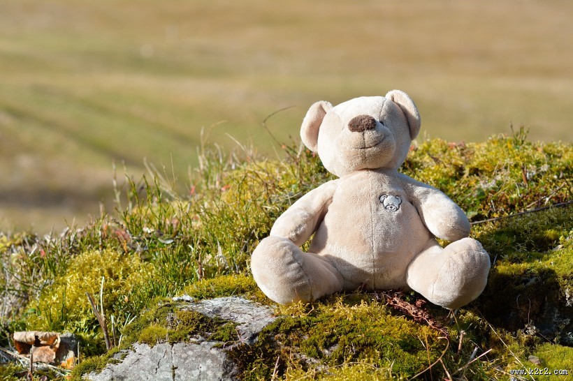 可爱的玩具熊图片大全