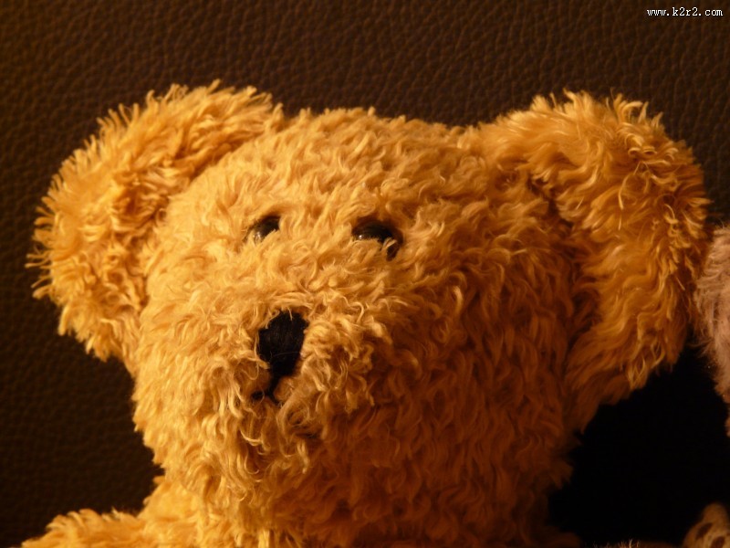 可爱的玩具熊图片大全