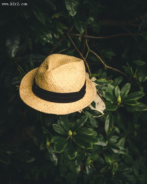 夏季出游必备的遮阳草帽图片大全