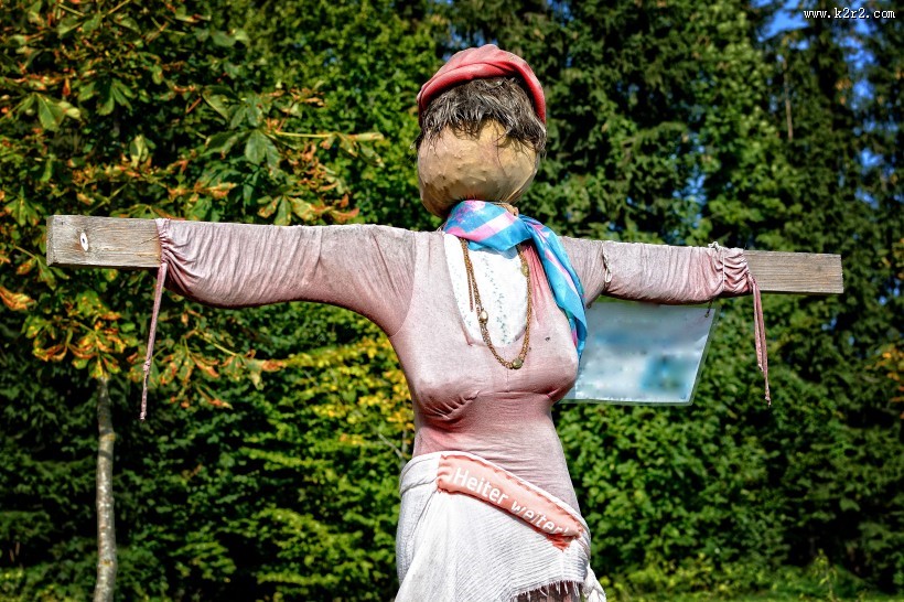 守护田地的稻草人图片