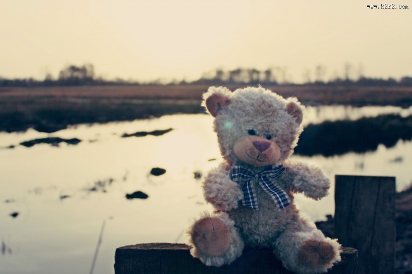 毛绒绒的玩具熊图片大全