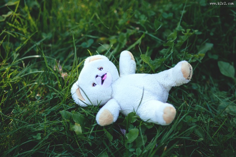 毛绒绒的玩具熊图片大全