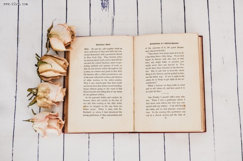 书图片书籍图片英语书图片