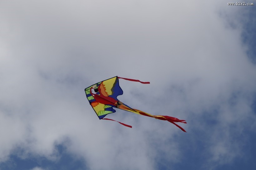 天空中的风筝图片