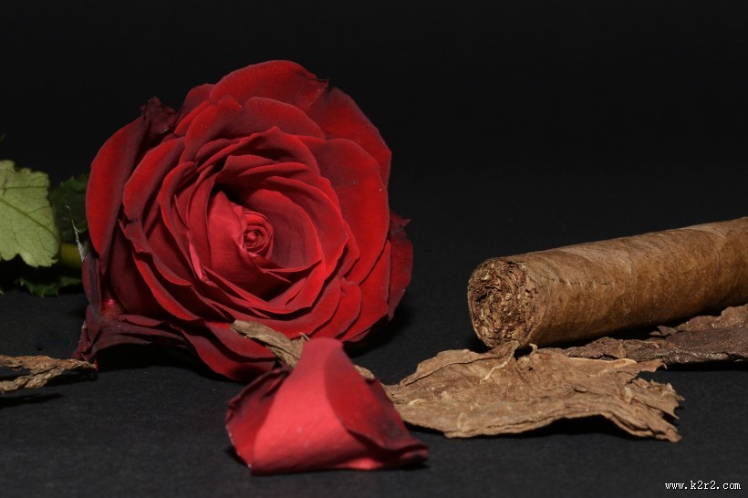 雪茄、玫瑰和啤酒放置一起图片