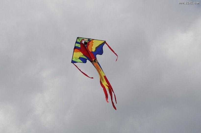 放飞的风筝图片