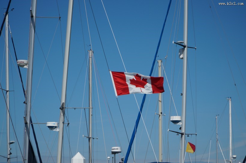 飘扬的加拿大国旗图片