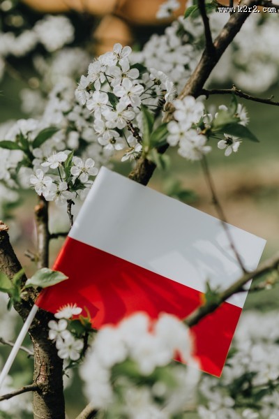 波兰国旗的图片