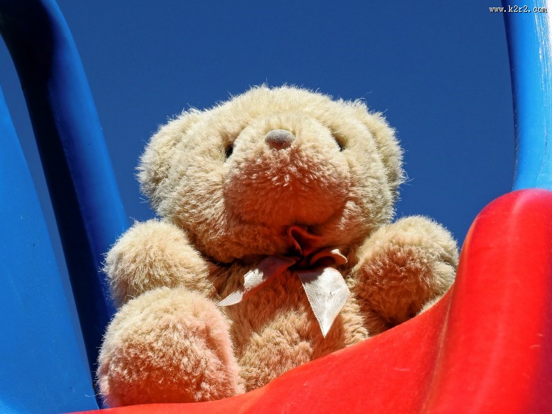 软软的玩具熊图片