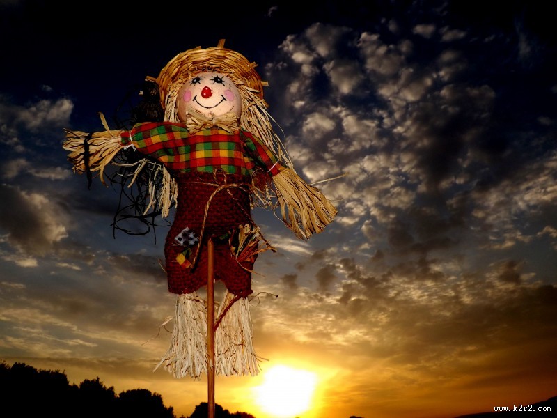 驱赶鸟类的稻草人图片