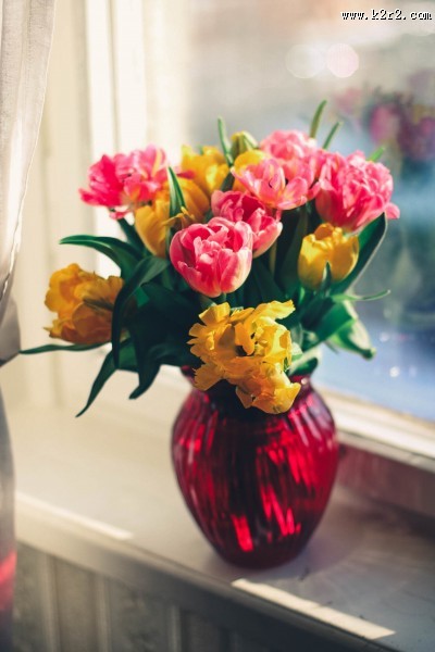 插满鲜花的花瓶图片大全